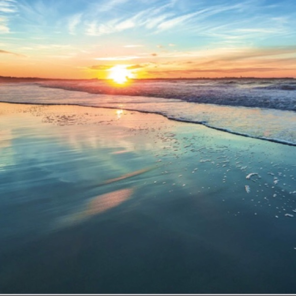 Meet your Posher, Aleigha